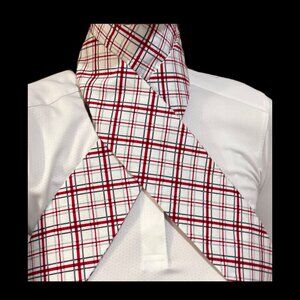 Classic Shaped Equestrian Fox Hunting Stock Tie Checkered Tattersall Red White